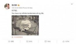 王嘉尔徐新俊最新爆料,揭秘娱乐圈不为人知的幕后故事