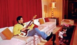 明星彩排爆料图片最新