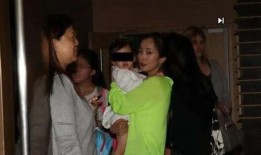 上海保姆案爆料最新进展,真相逐步浮出水面，疑点待解