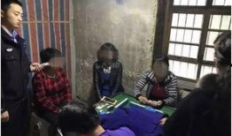 石家庄八仙爆料案件最新,揭秘背后惊人真相与曲折侦破历程