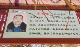 英雄事迹爆料大全最新,揭秘英雄事迹爆料大全最新篇章