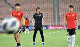 爆料国足主帅视频大全最新,最新视频大全深度解析